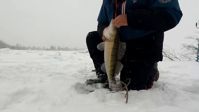 Опустил эту приманку под куст и тут такое началось смотреть онлайн