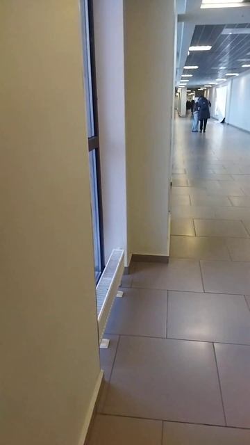 Прилетели в Санкт-Петербург. Аэропорт Пулково. Зона вы смотреть онлайн