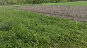 Работа триммером с мотором 51см3