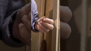 Ремонт стиральной машины Электролюкс Не отжимает. Не ?