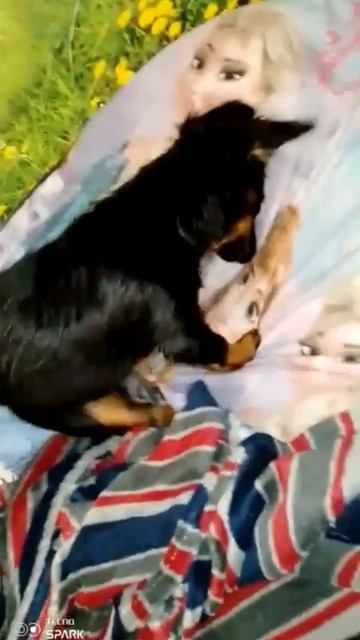 После купания смотреть онлайн