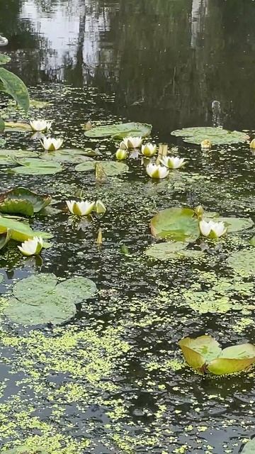 Ох какие же ОНИ! смотреть онлайн