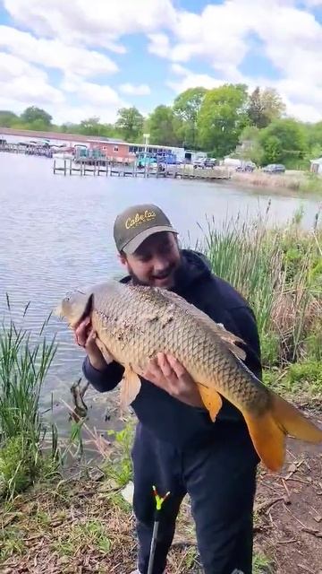 #carpfishing #rock #metal #music #улов #карп #карполовка#большой улов# смотреть онлайн