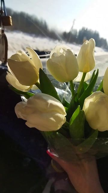 С 8 Марта 💐💐💐🌹🌹🌹 смотреть онлайн
