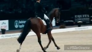 Клип конный спорт