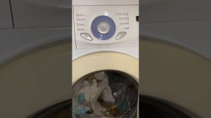 Стиральная машина LG 5 кг/Цена:5000