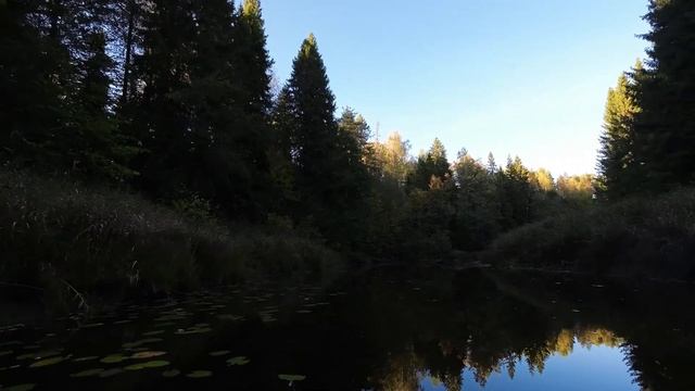 МИЗЮГА-ИХАЛИЦА. РЕКА ДВИНСКОГО БАССЕЙНА. ЧАСТЬ ВТОРАЯ. смотреть онлайн