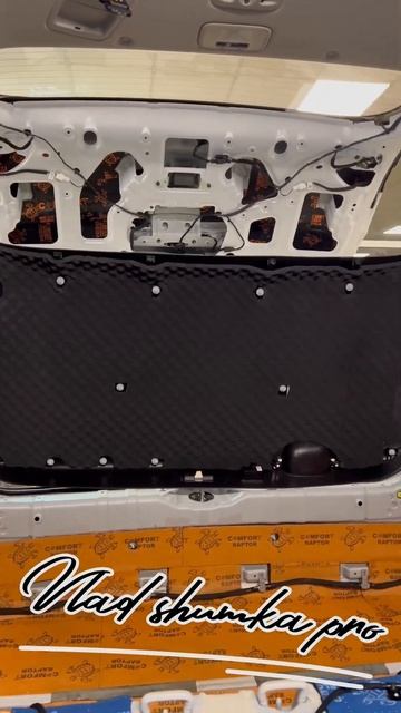 Шумоизоляция Kia Carnival 2023г. 3 часть#шумопоглащающийслой смотреть онлайн