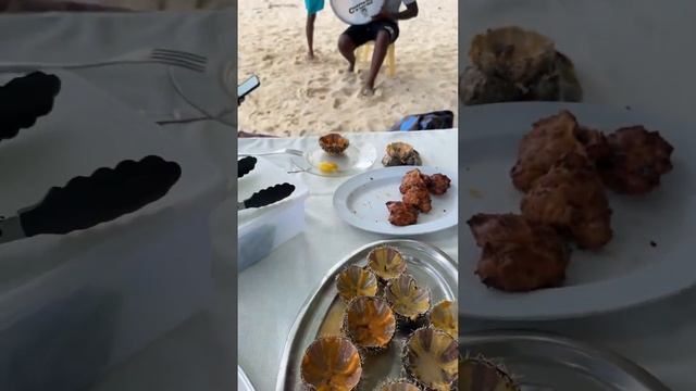 Вип тур к китам + барбекю на необитаемом острове. Маври смотреть онлайн