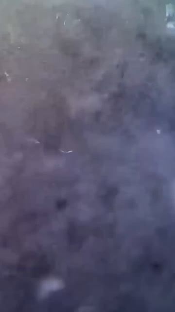 Поклевка огромного карпа . Подводные сьемки 🔥#carptoday смотреть онлайн