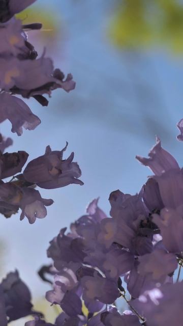 "Стань тем, кем хочешь быть" смотреть онлайн