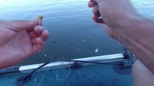 Ахтуба. Рыбалка с.Селитренное.