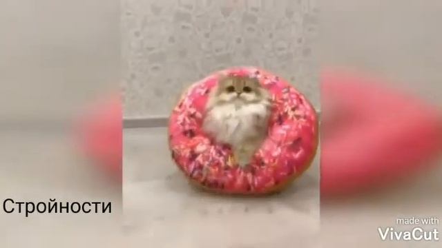 Поздравление Сашеньке с Днём Рождения.Ура!!! смотреть онлайн