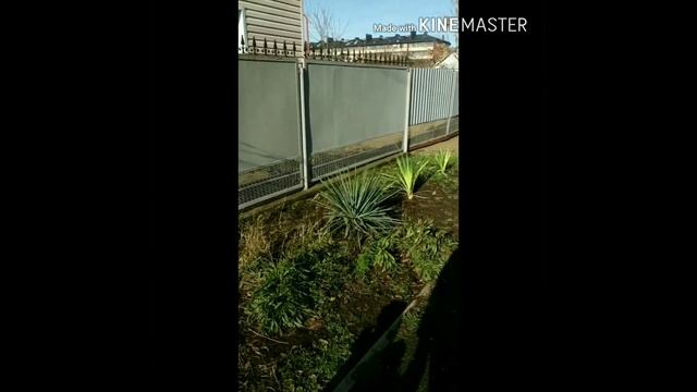 Зима в Краснодарском крае смотреть онлайн