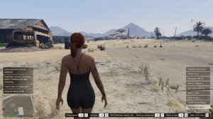 Моды, которыми я пользуюсь в GTA 5