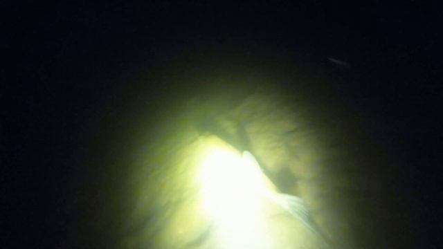 Карьер Гаврилово. Подводная охота со Scorpena Club