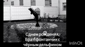 С днем рождения, Брат! фонтанчик с чёрным дельфином