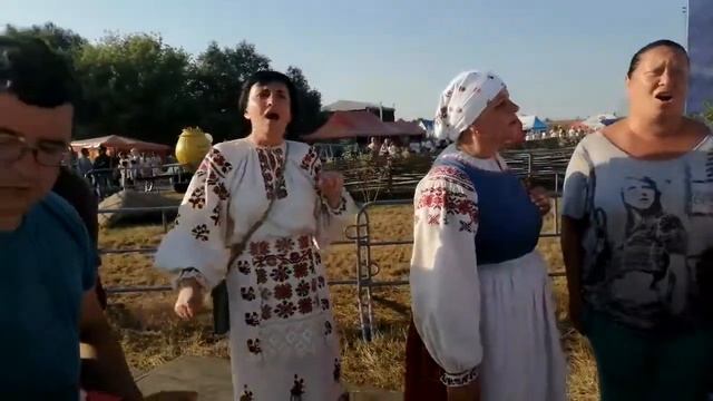 Под окном широким... Пётр Кудравец. Валентина Суходолова. смотреть онлайн