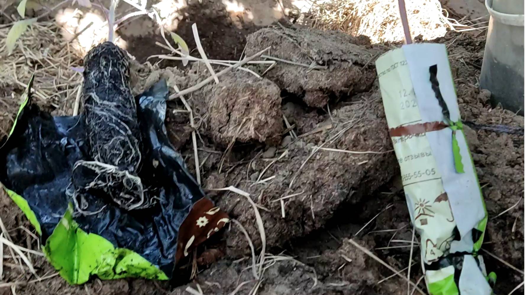 Методы посадки для РАССАДЫ ПОМИДОРОВ! смотреть онлайн