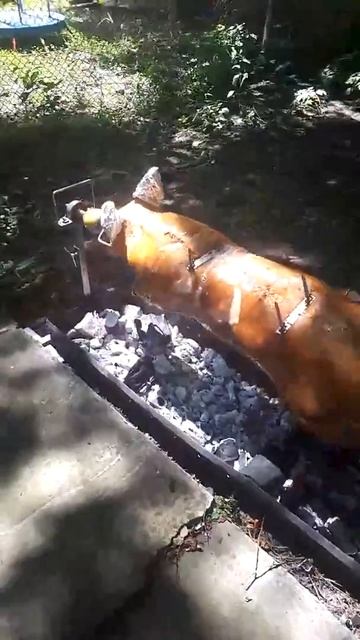 Вкусный сочный поросенок на вертели смотреть онлайн