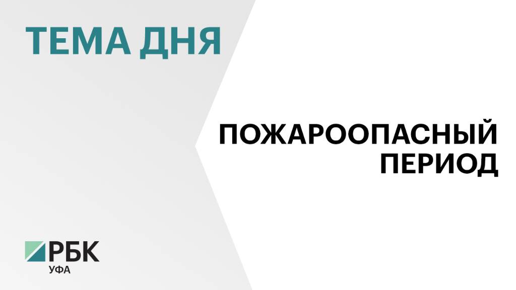 С начала года в Башкортостане произошло 2424 пожара