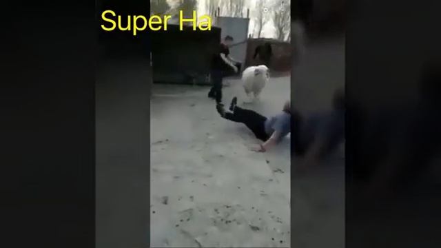 Если у тебя был плохой день то тебе стоить вот это смотреть онлайн