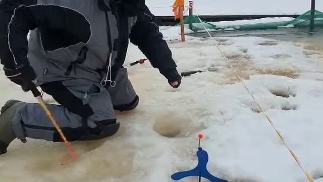 26.01.2021г. Форель Светлые Горы 10 смотреть онлайн
