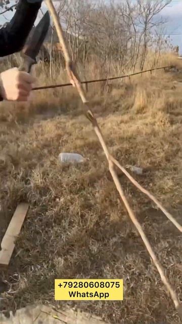 Тест Акции 🔥🔥🔥из серии не наш но хорош смотреть онлайн