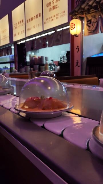 Новый Umami Shinkansen в Санкт-Петербурге ❤️ Обзор в моем ТГ ? смотреть онлайн