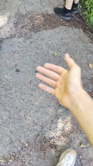 что делать если у тебя болит зуб #гайд #юмор #прикол смотреть онлайн