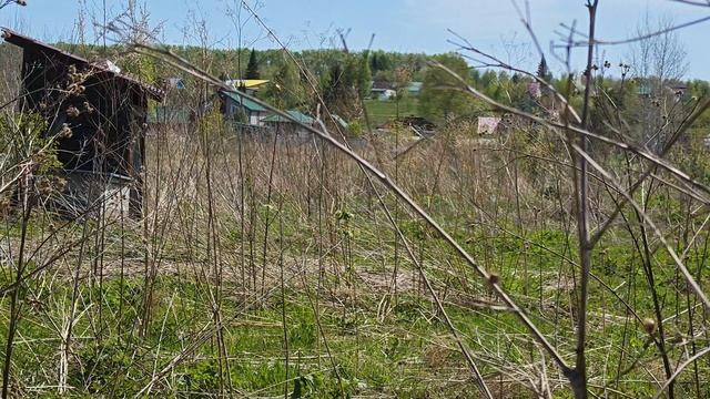 1000057500.mp4 смотреть онлайн