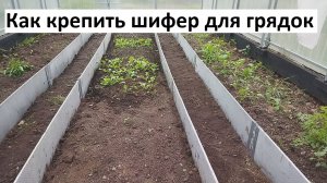 Как крепить плоский шифер для грядок. Грядки для теплицы