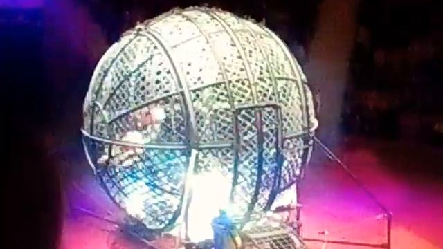 Цирковое представление.