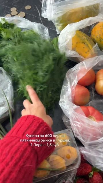 Ставьте 👍 - если дорого и 🔥- если дешево. А какие цены смотреть онлайн