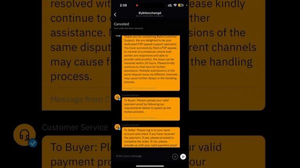 Апелляция на Bybit (Байбит) / сколько времени ждать, какие документы нужны. Не дайте себя обмануть