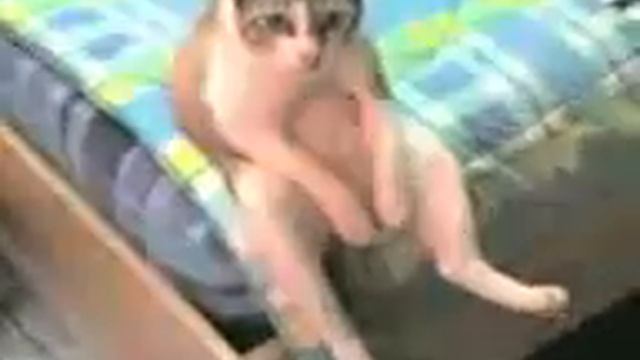 Вот это поза.3gp смотреть онлайн