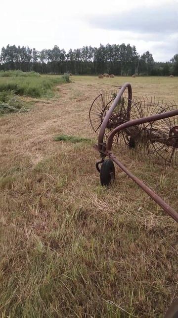 Уборка сена #мтз80 #лето смотреть онлайн