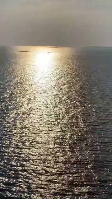 У кого есть ответы на эти вопросы? #философ #цитаты #муд смотреть онлайн