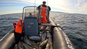 УДАЧНО ОТКРЫЛИ СЕЗОН МОРСКОЙ РЫБАЛКИ