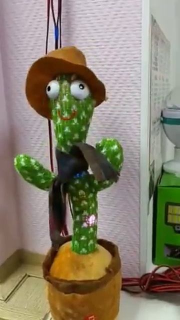 Танцующий Кактус смотреть онлайн