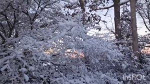 Мадам S перебирает женихов. До 14 февраля ни-ни. Кристина Никадимус: Мила раздаёт гробовые. Oxana M