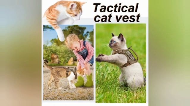 Полезные товары с AliExpress для домашних животных смотреть онлайн