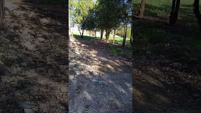 проник в заброшку часть 2 +подвал гренни смотреть онлайн