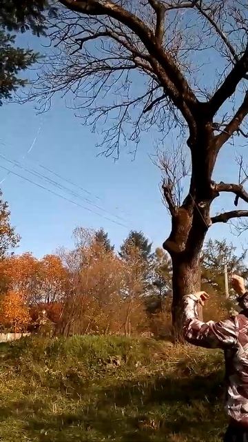 swing 搖擺 Качеля Тарзанка смотреть онлайн