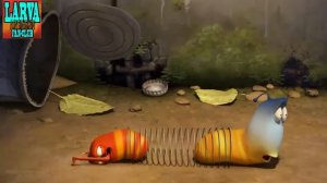 Larva. Личинки.  сезон. 37-56 серии.