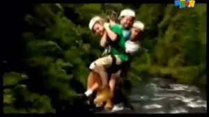 Начало Вещания Канала Теленяня V2.0