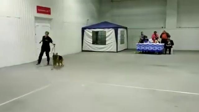 11 ноября 2018 г.(2) смотреть онлайн