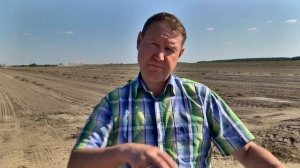 Как выращивают лук-севок?