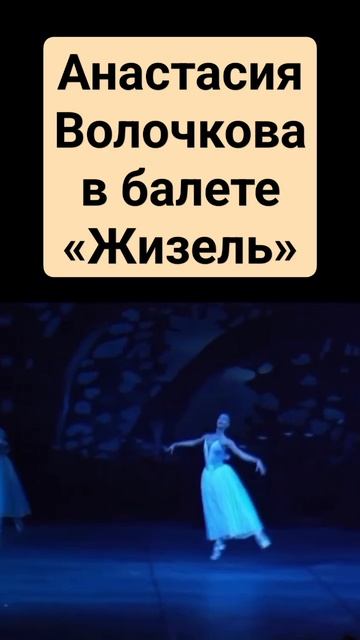 Анастасия Волочкова, жизель #балет #волочкова смотреть онлайн