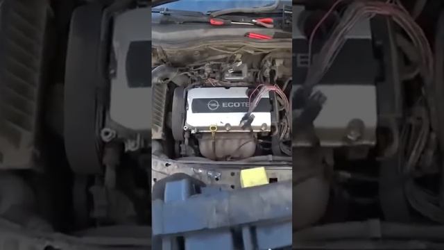 Зелень в контактах говорит всегда о том, что сюда нужно обратить особое внимание смотреть онлайн